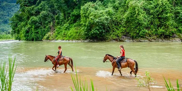 Horseback Riding to La Fortuna Waterfall