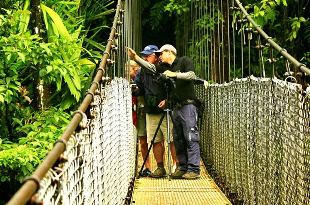 Arenal Hanging Bridges - Mistico Park
