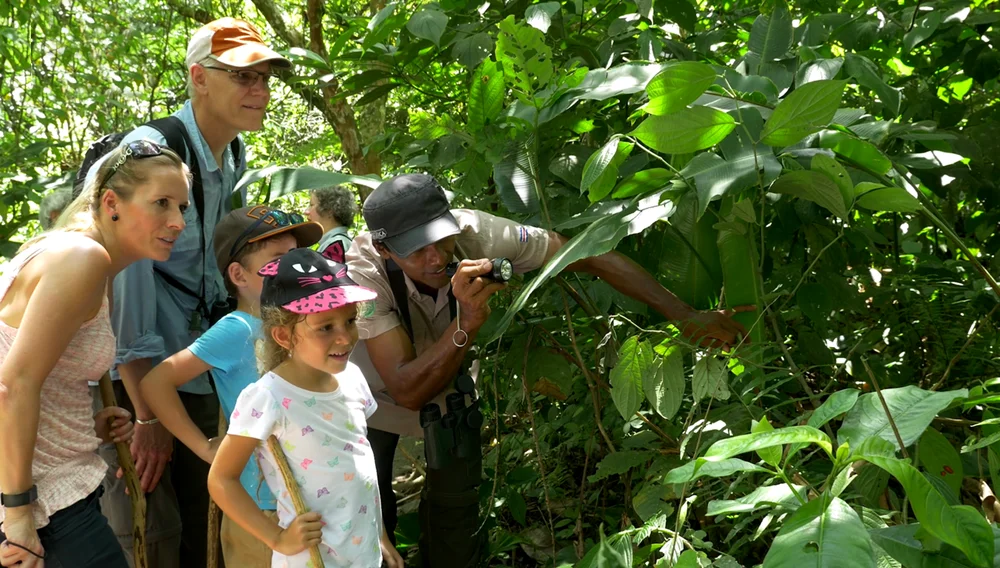 Arenal Volcano Hiking Experience