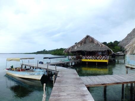 Bocas del Toro Day Tour: Isla Colón, Starfish Beach & Bocas del Drago