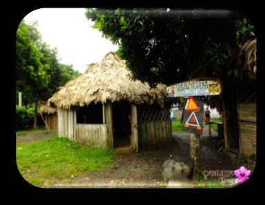 Bribri Indigenous Reserve: Chocolate Making, Medicinal Plants & Hidden Waterfall