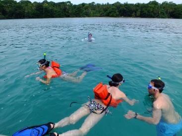 Cahuita National Park: Coral Reef Snorkeling & Guided Rainforest Hike