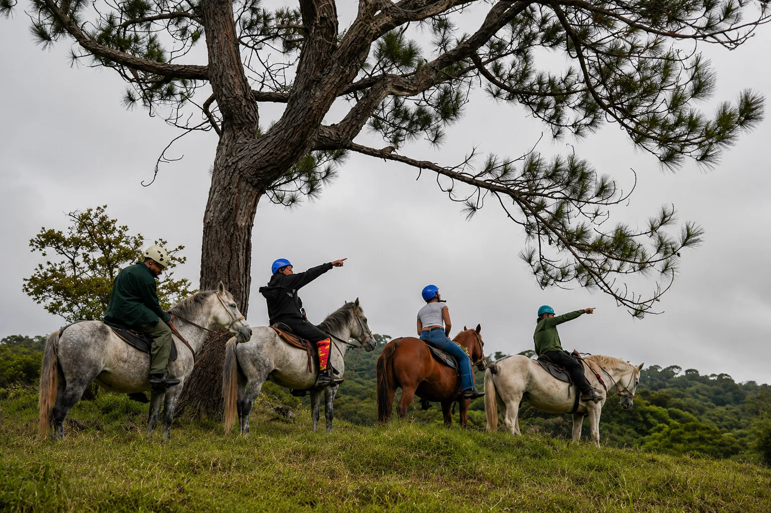 Monteverde Scenic Mountain & Sunset Horseback Riding