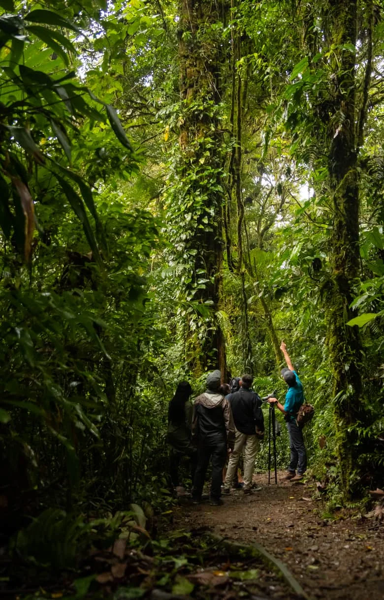 Monteverde Oasis Deluxe Romantic & Honeymoon Package