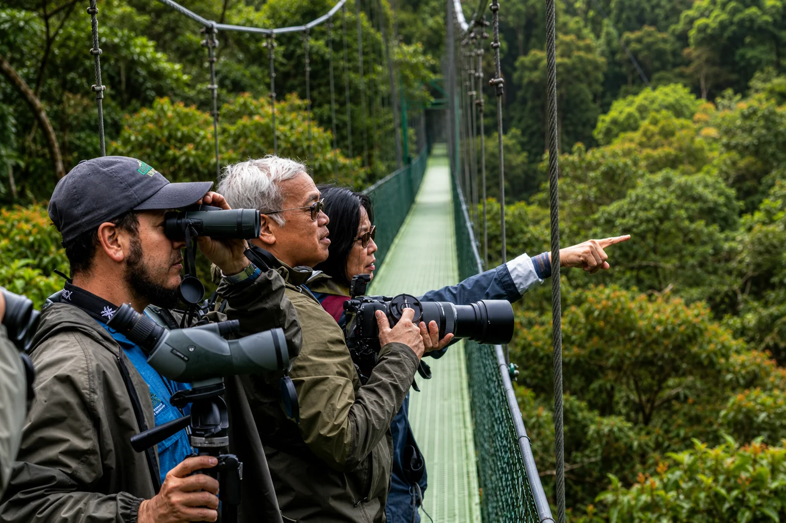 Monteverde Treetop Hanging Bridges Guided Walk