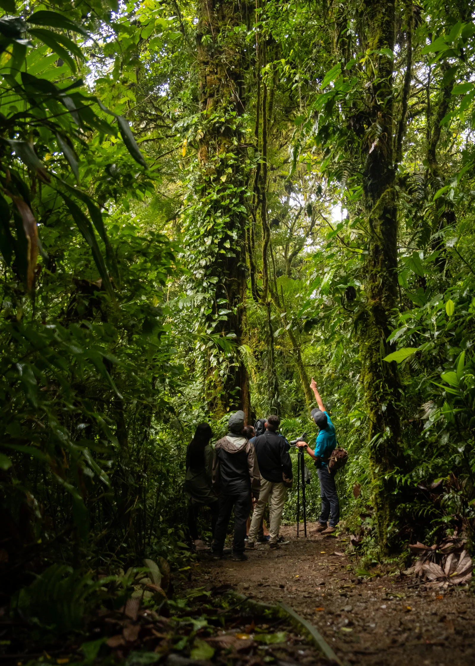 Santa Elena Cloud Forest Reserve Guided Tour
