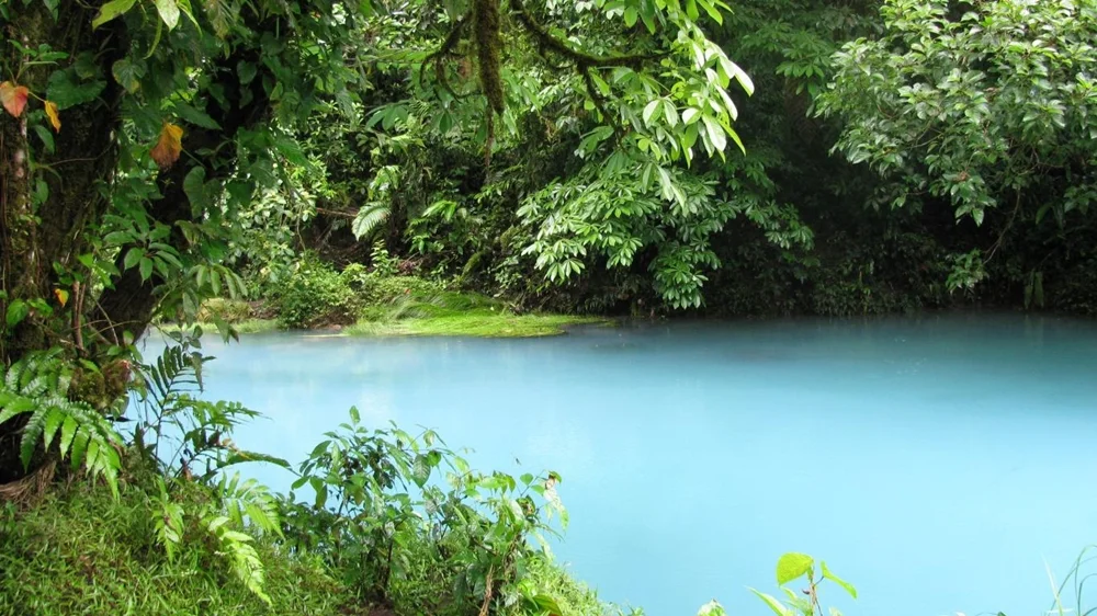 Rio Celeste Tour from La Fortuna