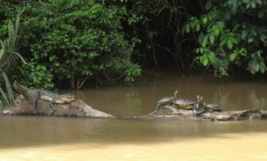 Safario Float Tour La Fortuna Arenal Volcano