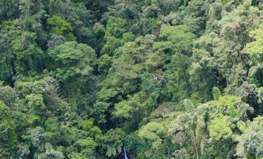 Arenal Volcano Hanging Bridges Tour