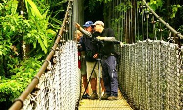 Arenal Volcano Hanging Bridges Tour