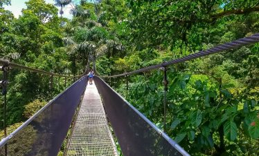 Arenal Volcano Hanging Bridges Tour
