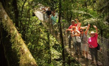Arenal Volcano Hanging Bridges Tour