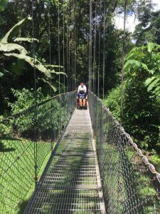 Arenal Volcano Hanging Bridges Tour
