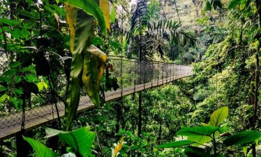 Arenal Volcano Hanging Bridges Tour