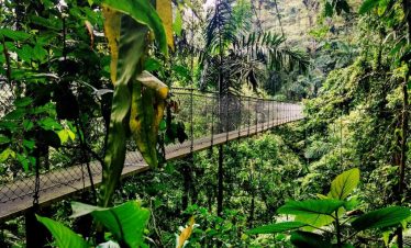 Arenal Volcano Hanging Bridges Tour