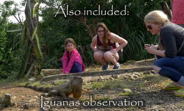 Cano negro Wildlife Refuge Tour