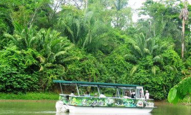 Cano negro Wildlife Refuge Tour