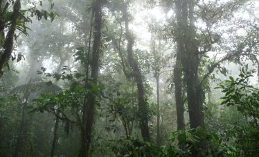 Rio Celeste Tour from La Fortuna Arenal Volcano