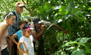 Arenal 4 in 1 Full Day Tour La Fortuna